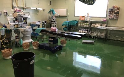 Sale a licitación el proyecto y redacción de obra de reforma del bloque obstétrico y quirófanos del hospital de Riotinto