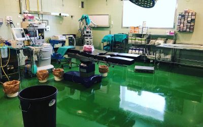El Hospital de Riotinto amplía a los sábados las operaciones de Oftalmología para reducir la lista de espera
